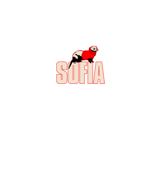 sofia la casa de papel model negru pe tricou