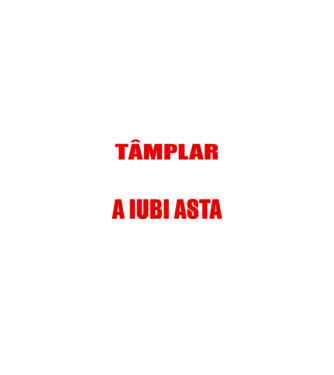 Sunt suficient de priceput pentru a fi TÂMPLAR și suficient de nebun pentru a iubi asta model negru pe tricou