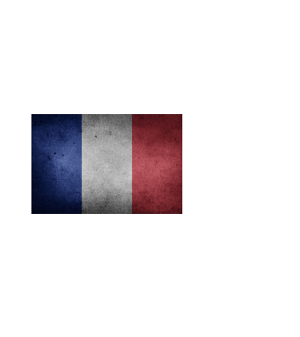FRANCE model alb pe tricou