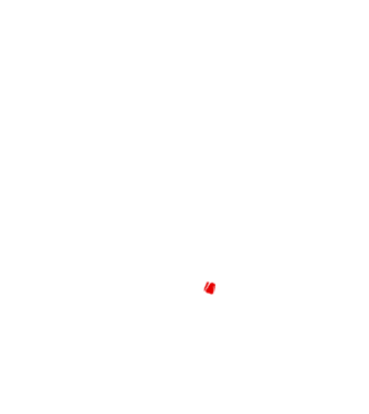 godfather cu trandafir model negru pe tricou