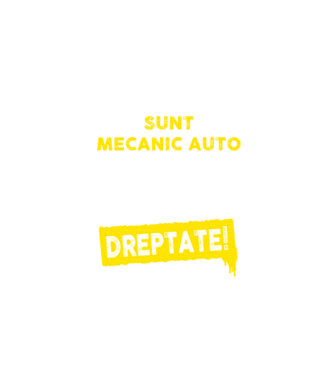 sunt MECANIC AUTO, pentru a economisi timp, să reținem că am întotdeauna dreptate model negru pe tricou