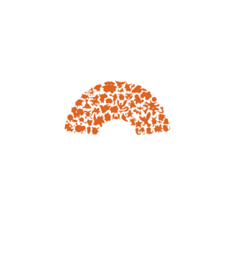 Pokeball model negru pe tricou