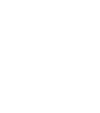 Bunicdidas model alb pe tricou