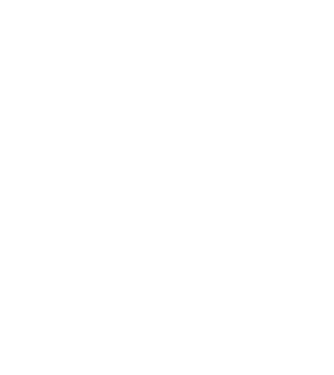 LOVE Boston Terrier model negru pe tricou