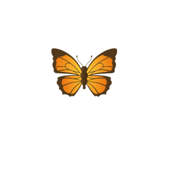Butterfly model alb pe tricou