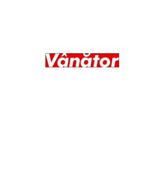 vânător model gri pe tricou