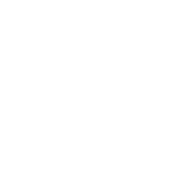 demodog logo model negru pe tricou