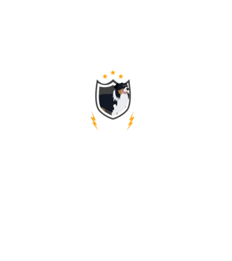 serviciu de securitate - securitate - persistență - 24 de ore pe zi model negru pe tricou