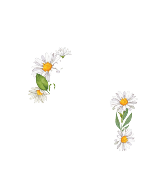 Dacă o vezi îmbrăcată în acest tricou, înseamnă că astăzi tu speli vasele. Mama se odihnește astăzi. model alb pe tricou