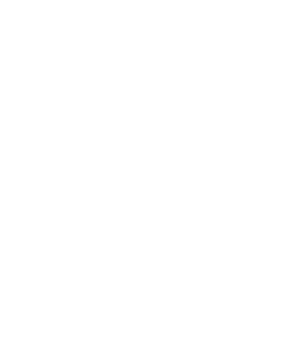 All men are created equal but only the best are born in february model albastru închis pe tricou