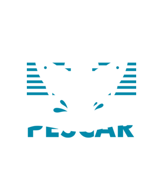 Pescar original model alb pe tricou