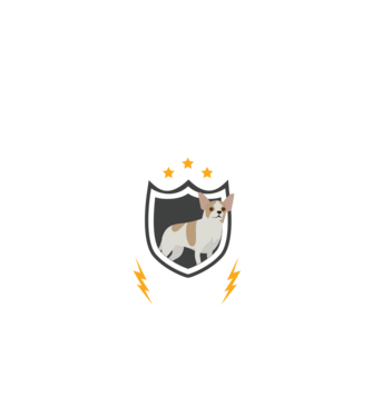 serviciu de securitate - securitate - persistență - 24 de ore pe zi model negru pe tricou