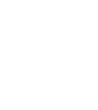 Crazy Cat Ladies are born in February model negru pe tricou