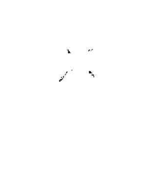 I survived the battle of the bastards model mov pe tricou