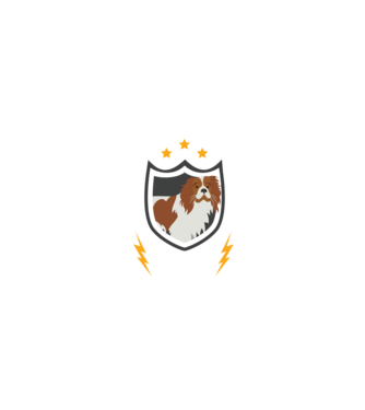 serviciu de securitate - securitate - persistență - 24 de ore pe zi model negru pe tricou