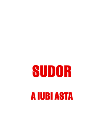 Sunt suficient de priceput pentru a fi SUDOR și suficient de nebun pentru a iubi asta model negru pe tricou
