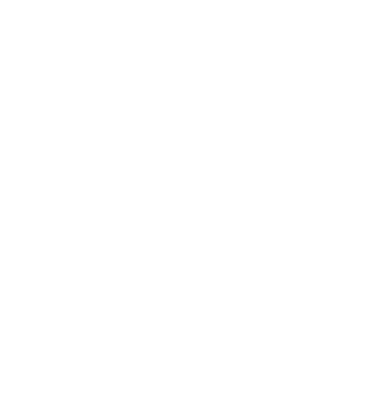 LOVE Staffordshire Terrier model turcoaz pe tricou