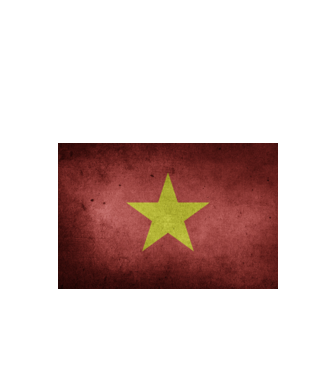 VIETNAM model negru pe tricou