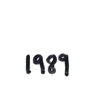 Taylor Swift 1989 text model alb pe tricou