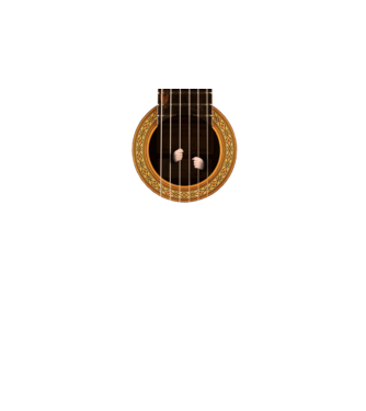 Guitar prison model negru pe tricou