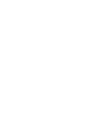Zidarul model negru pe tricou