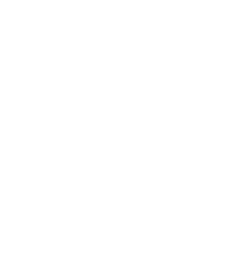 România made in model alb pe tricou