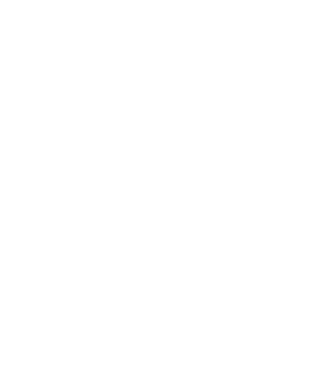 All men are created equal but only the best are born in november model negru pe tricou