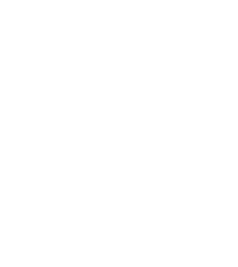 Crazy Cat Ladies are born in December model turcoaz pe tricou