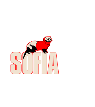 sofia la casa de papel model negru pe tricou