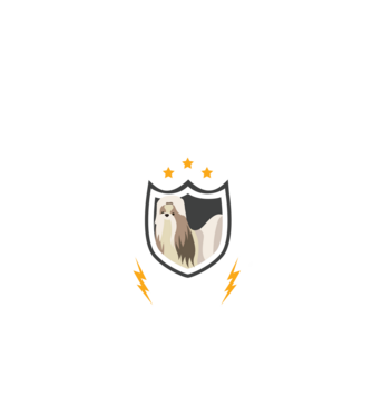 serviciu de securitate - securitate - persistență - 24 de ore pe zi model negru pe tricou