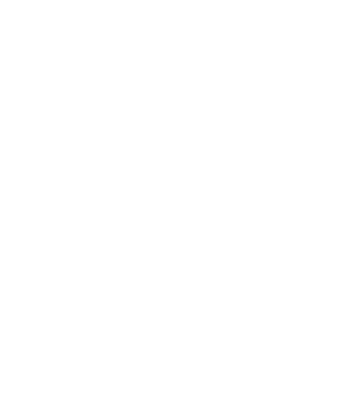New year definition model alb pe tricou