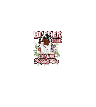 border collie - multă blană multă dragoste model alb pe tricou