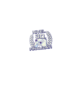 Nivel 30 finalizat! model negru pe tricou