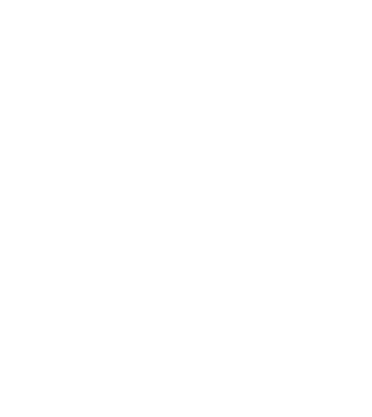 EarthLogo model negru pe tricou