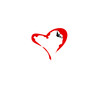 heartclimb model alb pe tricou