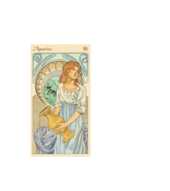 Horoscop Tarot VARSATOR model alb pe tricou