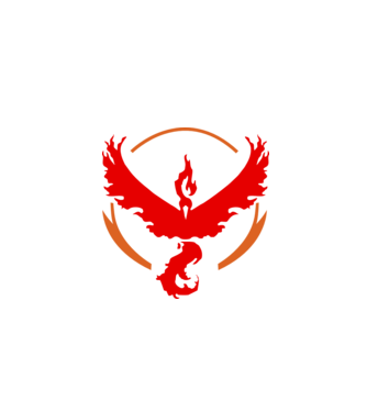 Valor team logo model alb pe tricou