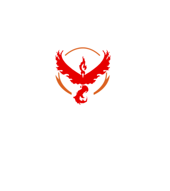 Valor team logo model alb pe tricou