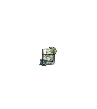 Let the fun be gin model negru pe tricou
