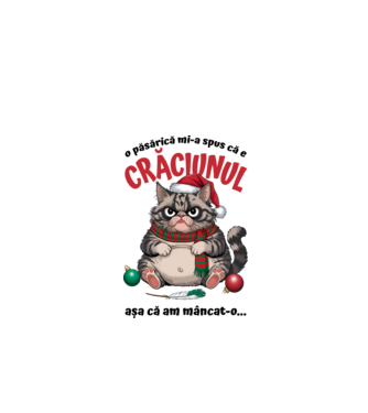 Am mâncat pasărea Crăciun pisică Alb model alb pe tricou