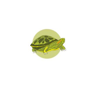 Turtle model negru pe tricou