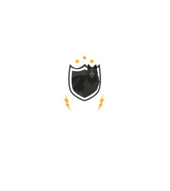 serviciu de securitate - securitate - persistență - 24 de ore pe zi model gri pe tricou