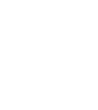 nimeni nu e perfect, dar stăpânii de chivava sunt foarte aproape model turcoaz pe tricou
