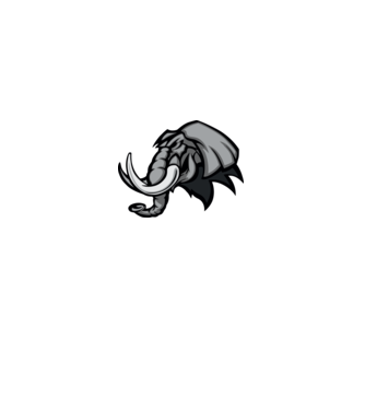 Elephant model galben pe tricou