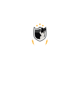 serviciu de securitate - securitate - persistență - 24 de ore pe zi model negru pe tricou