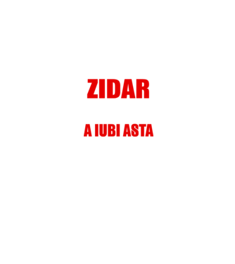 Sunt suficient de priceput pentru a fi ZIDAR și suficient de nebun pentru a iubi asta model negru pe tricou