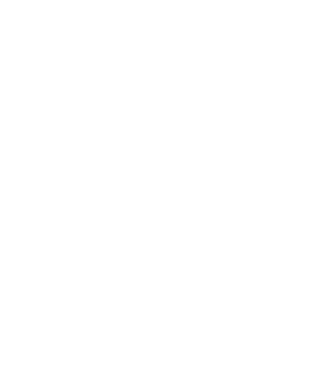 nimeni nu e perfect, dar stăpânii de havanese sunt foarte aproape model negru pe tricou