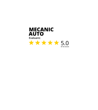 Evaluare - MECANIC AUTO model alb pe tricou