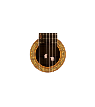 Guitar prison model negru pe tricou