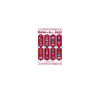 Qatar 2022 teams - groups white model gri pe tricou
